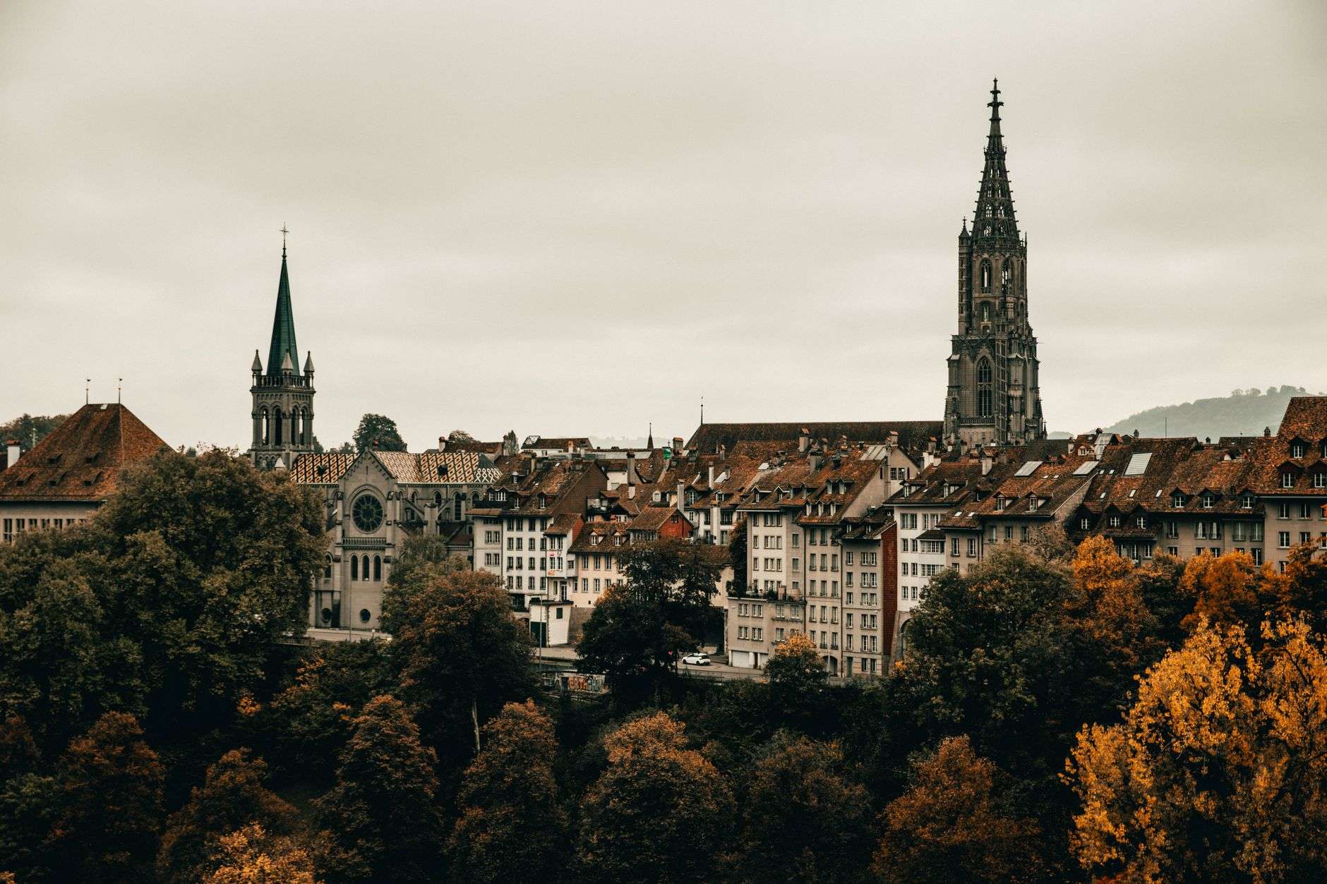 Alpis Bern