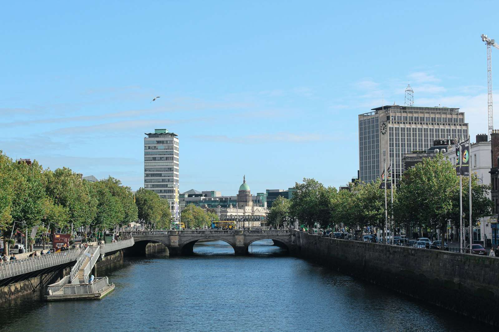 Alpis Dublin
