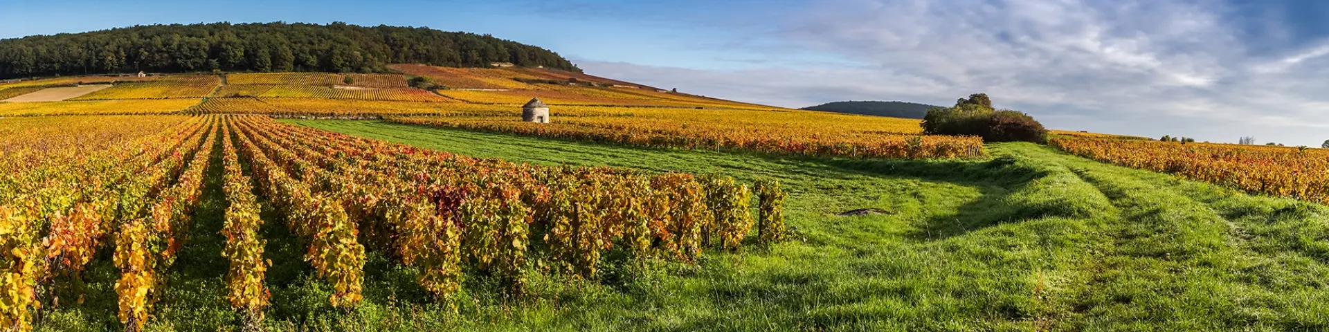 https://www.brgm.fr/sites/default/files/styles/background_full_width_desktop_limited/public/images_banner/2020-09/banniere-0254.jpg.webp