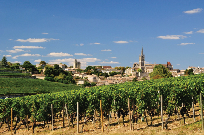 Bordeaux et son vignoble St Emilion